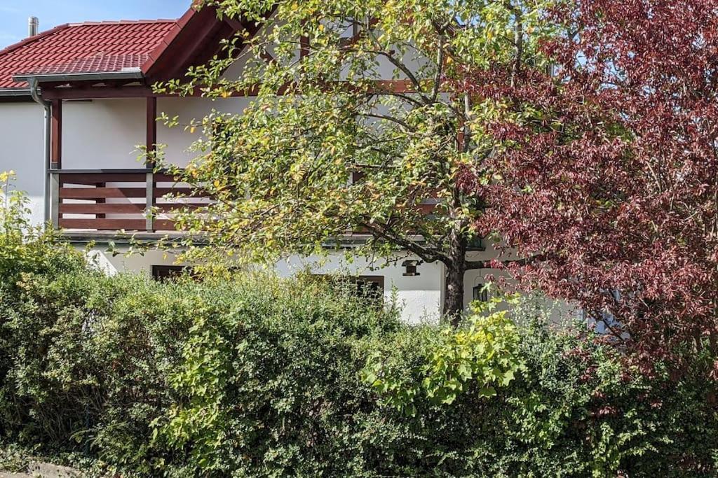 In Ruhiger Lage Direkt Am Wald